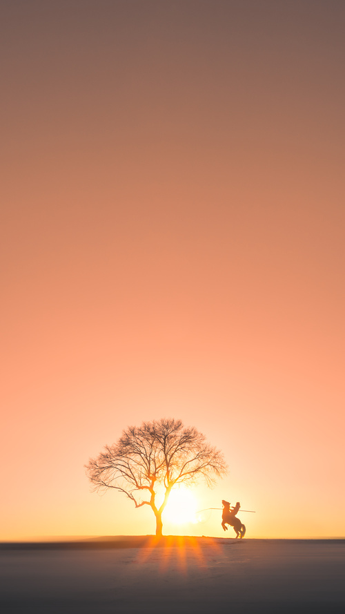 九游下载官网-“中超大牌外援纷纷续约，联赛稳定性增强”，中超引进的最大牌外援