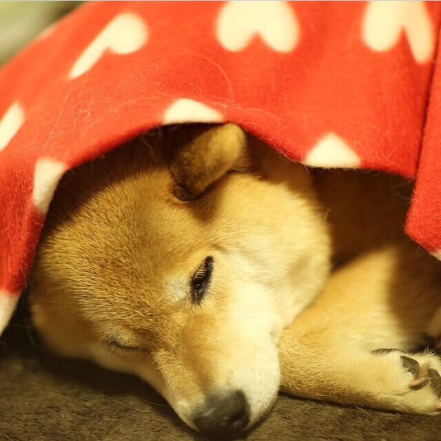 九游官网下载电脑版-未来联盟的“绿色计划”：环保成为核心环节，绿色未来拆除