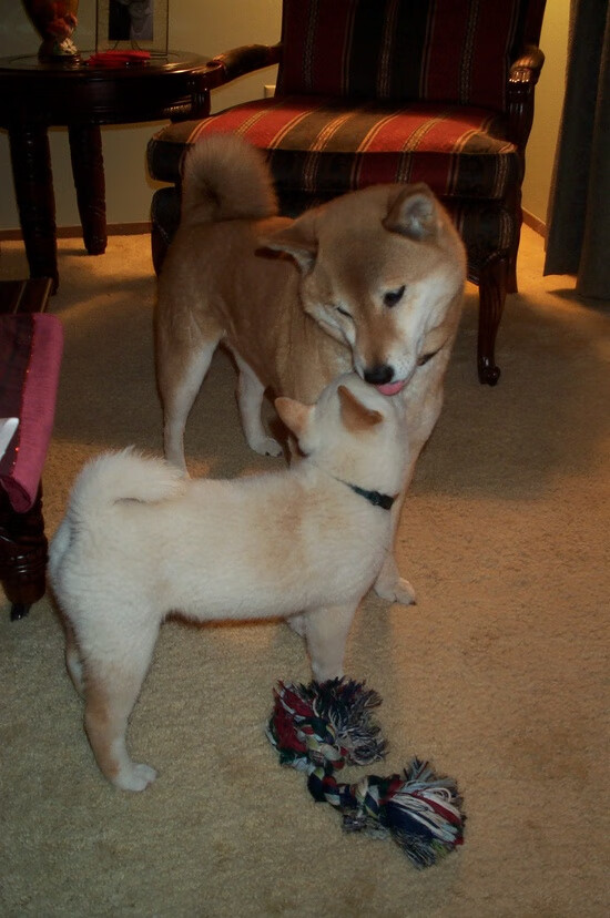 水上橡皮艇漂流赛,惊险刺激欢乐无限,橡皮艇在水里如何固定