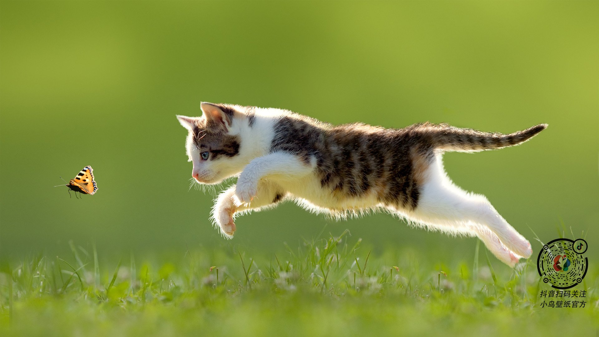 比赛期间,运动员情绪管理成焦点,运动员比赛行为控制和情绪控制的主要特点和要求