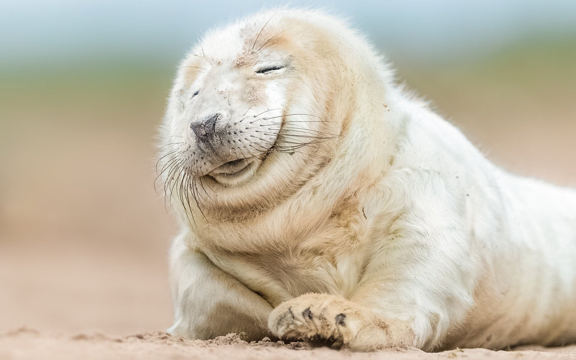 赛季“最具戏剧性”的逆转,比赛中谁的表现最令人惊叹?