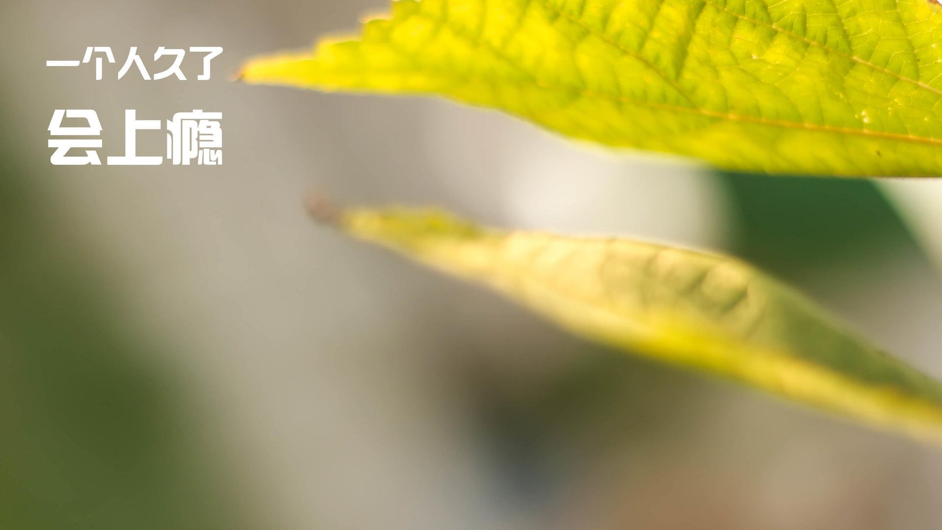 青少年篮球运动项目成为国家策略重点扶持项目之一,青少年篮球比赛叫什么