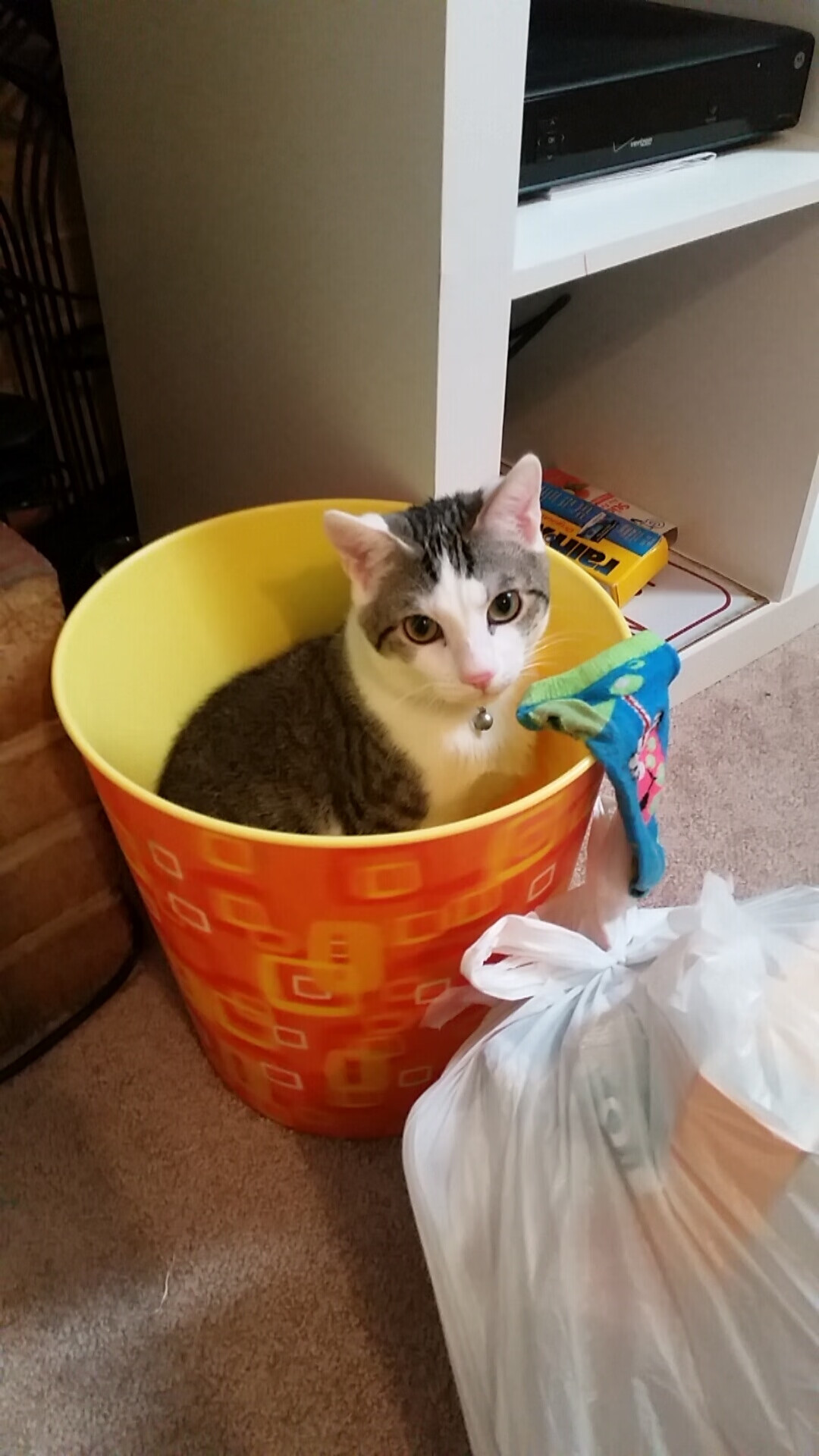 上海绿地申花将迎战广州恒大,巅峰对抗引人期待!,上海绿地申花队