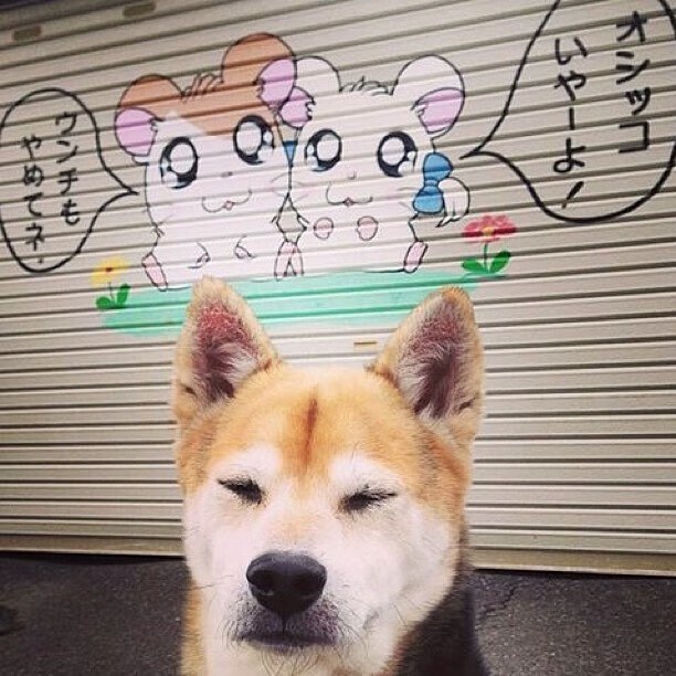 九游app官网下载-女足亚洲杯即将开战，女足亚洲杯即将开战视频