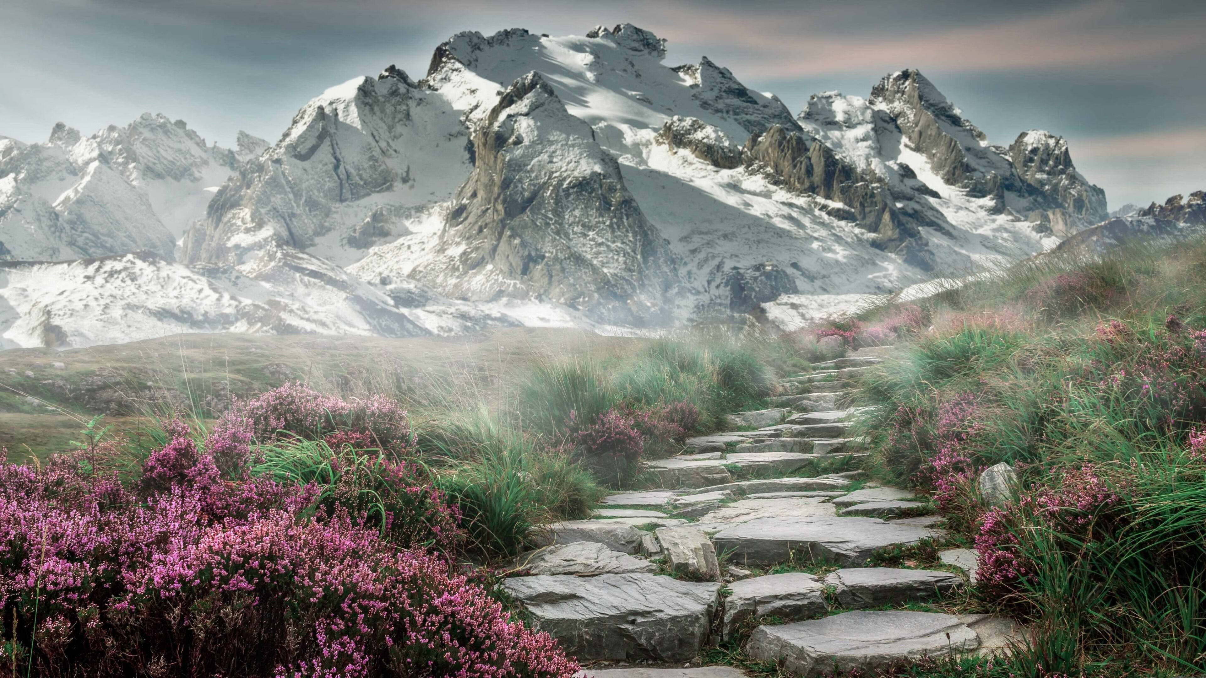 -欧洲豪门将在赛场上展开激烈角逐，欧洲豪门主场