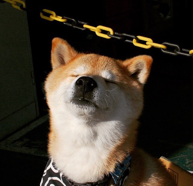 比赛的结果引发了球迷们的热议与讨论,比赛的结果令人兴奋英语