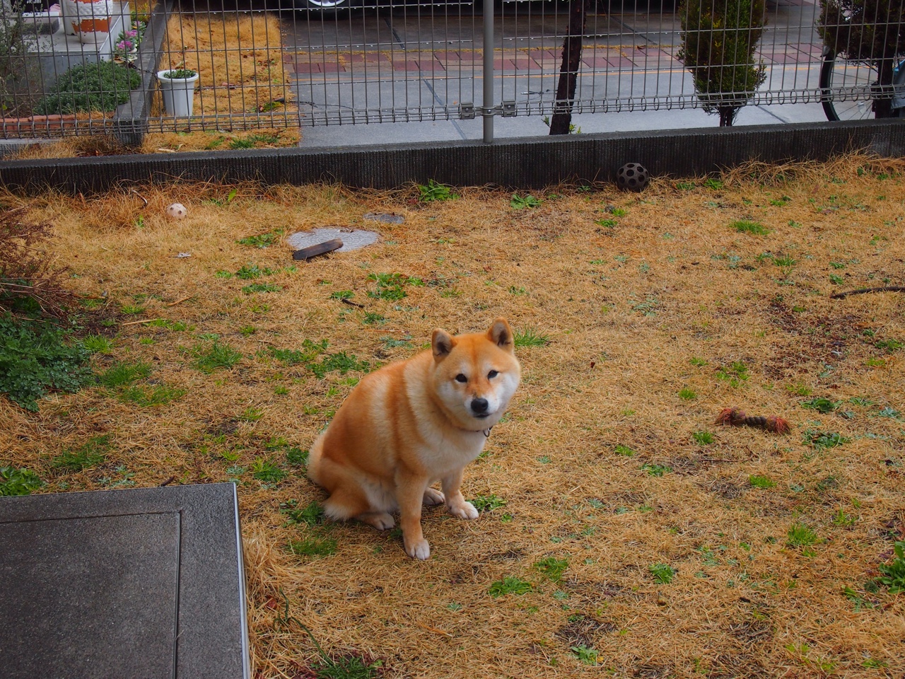 热火球队团队合作日益默契，热火足球队