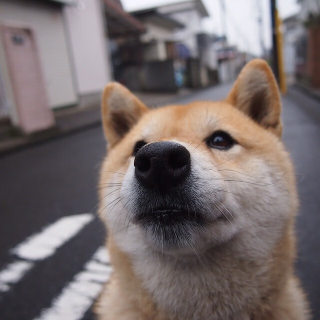 九游娱乐(jiuyou)官方网站-狼队主场大胜，英超积分榜逐渐攀升，英超本赛季狼队