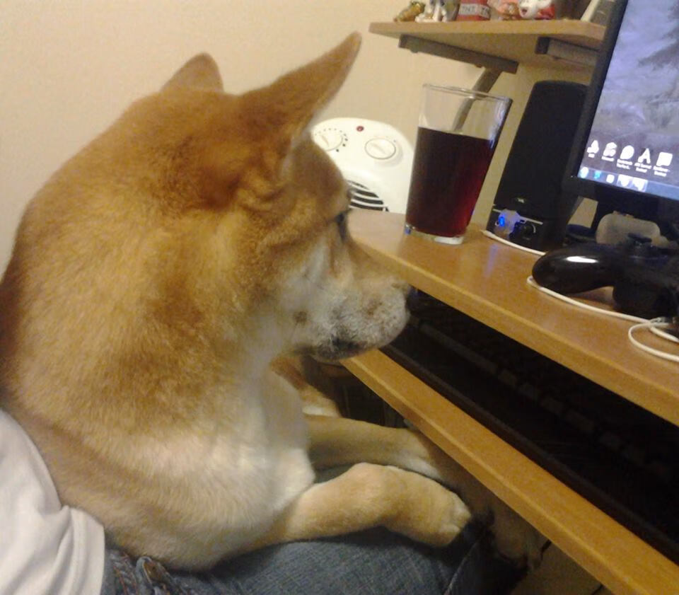 球员们如何备战下一场激烈的比赛?,球员们如何备战下一场激烈的比赛英语