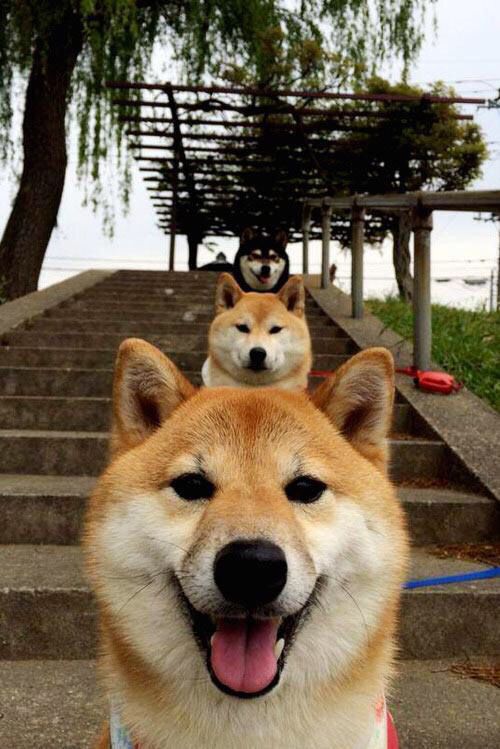 罗马州德比敞开战幕,两队凶猛对碰,德罗西罗马