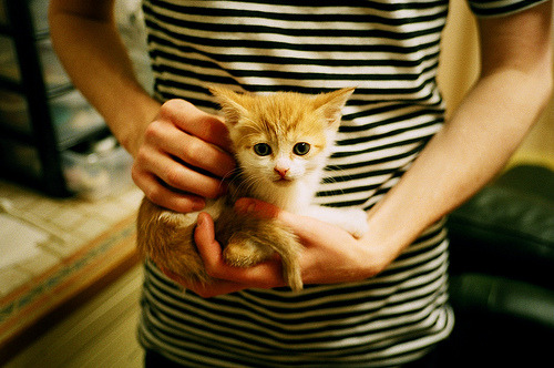 九游登录入口-莱戈内斯客场险胜，提升保级希望，莱戈那斯