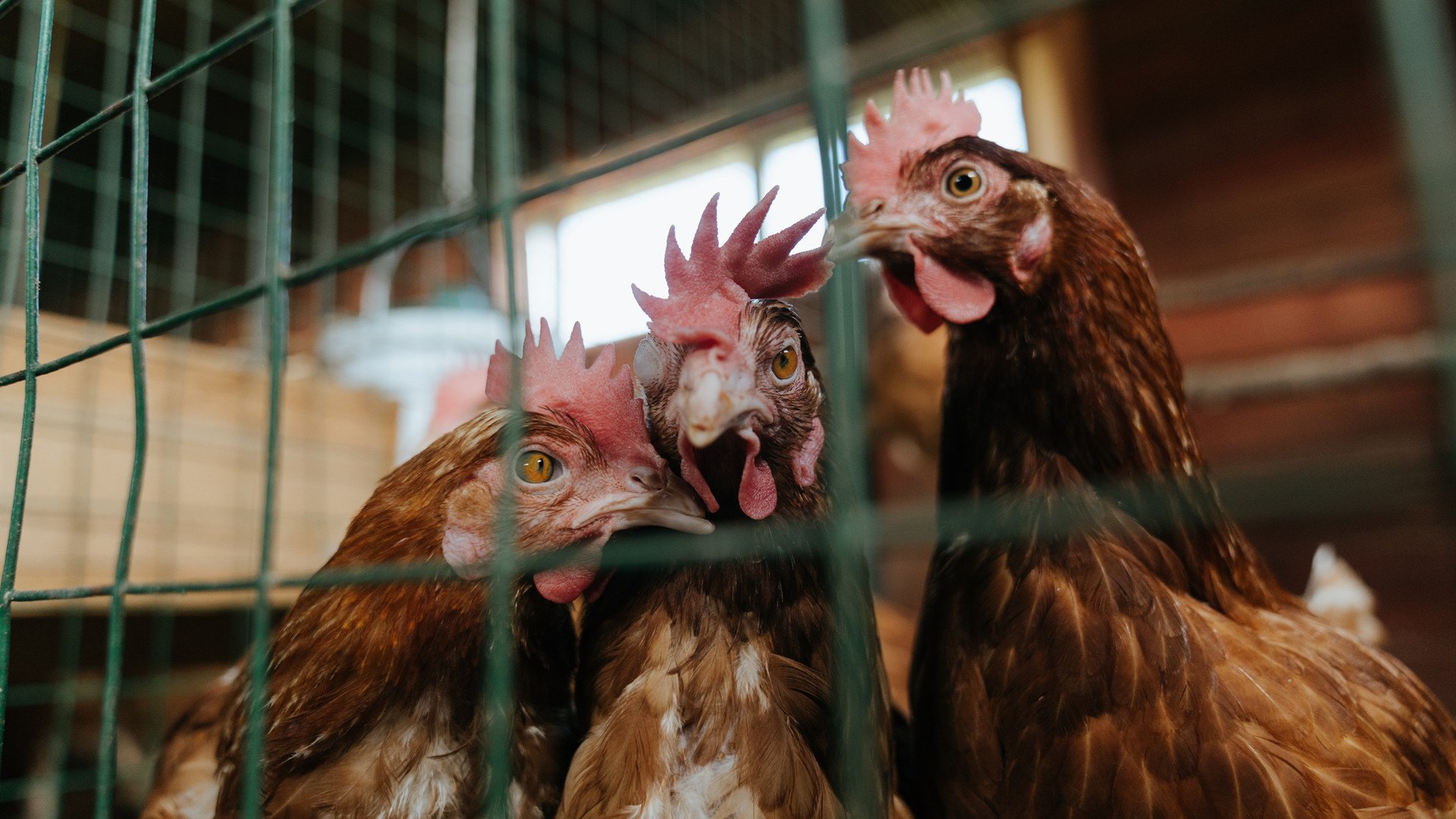 青少年体育运动安全保障机制构建,青少年体育管理体制