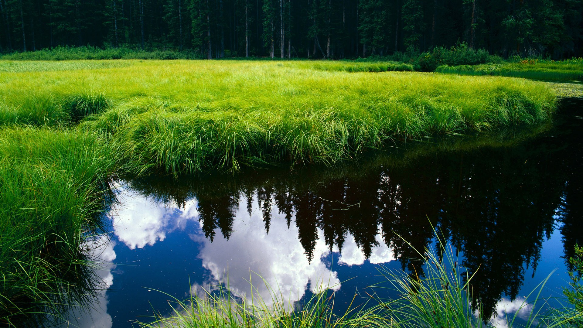 CBA新赛季揭幕战引爆球迷热情,cba新赛季比赛日程