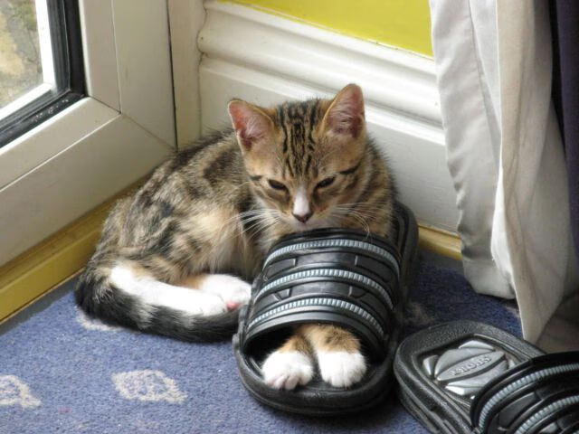 中国男篮注重突分结合丰富进攻手段,中国男篮战术分析