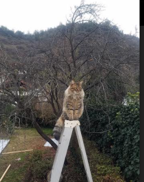 体育新闻中心上线体育赛事多角度直播平台,体育新闻现场直播