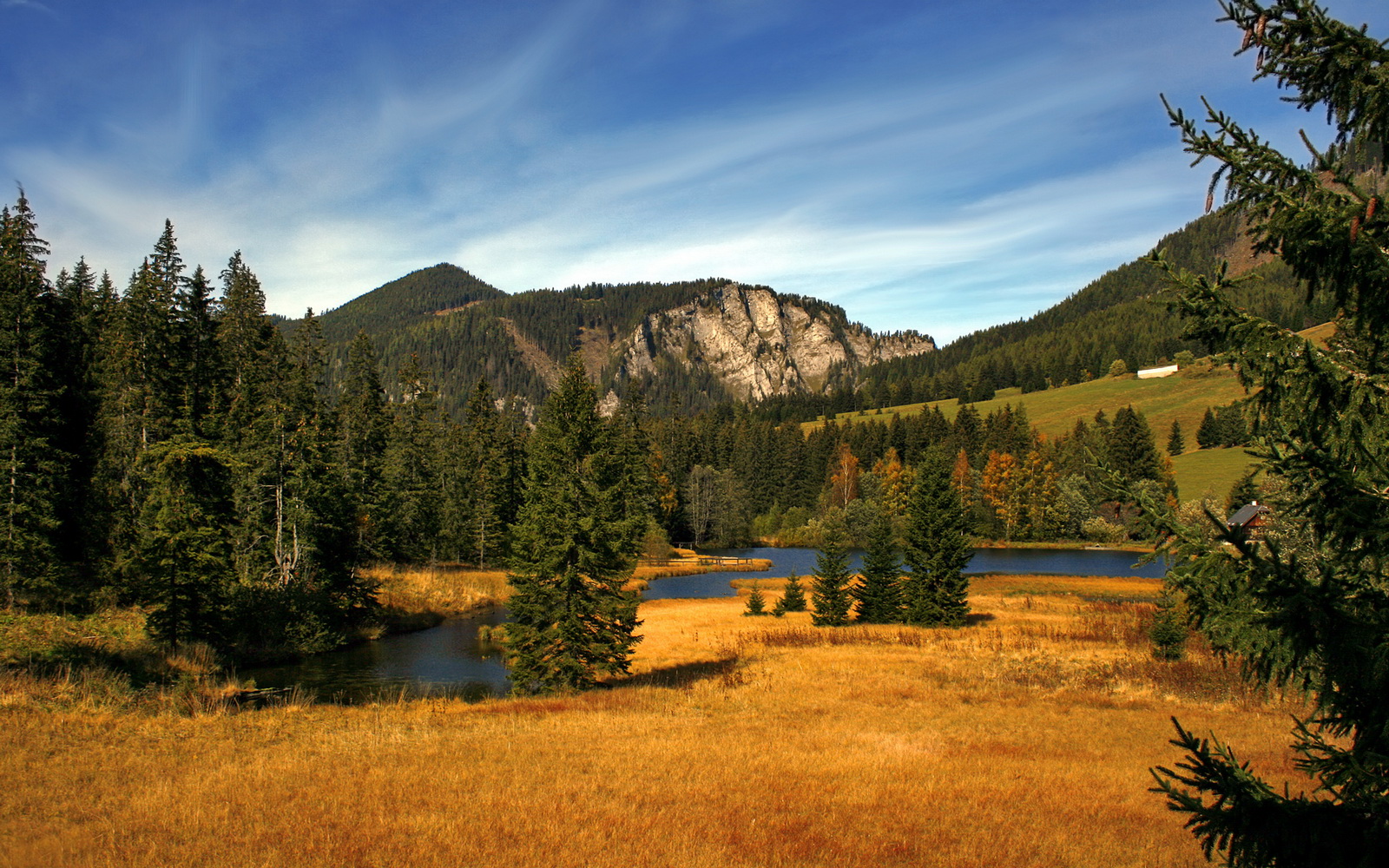 九游娱乐(jiuyou)官网-拜仁快速传切与边路渗透形成战术合围，拜仁传奇边锋