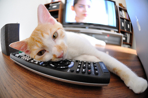 伊朗男篮在亚洲预赛中奋勇争先，迈向奥运新高度，伊朗男篮落选赛