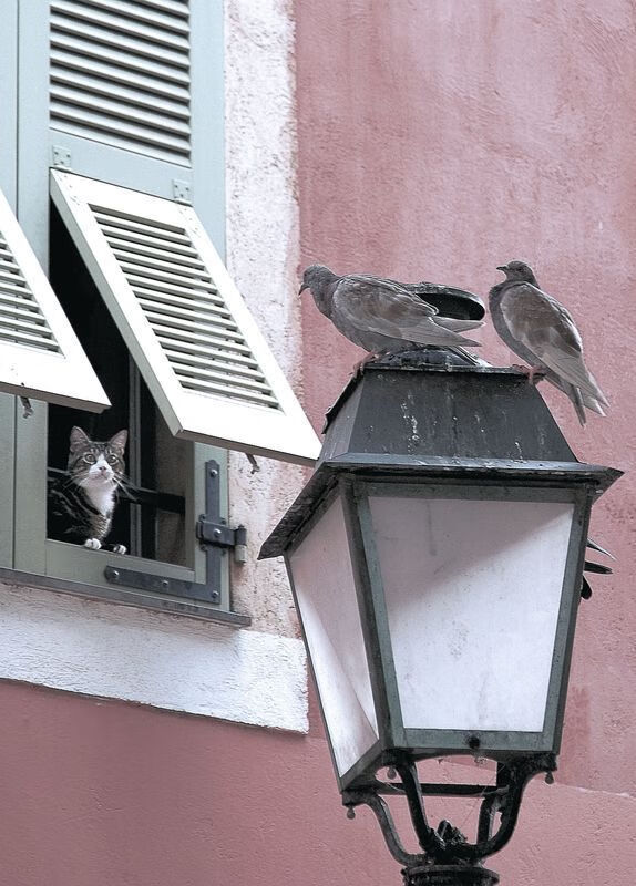 曼联后防核心因伤缺阵引发担忧,曼联最强后防线