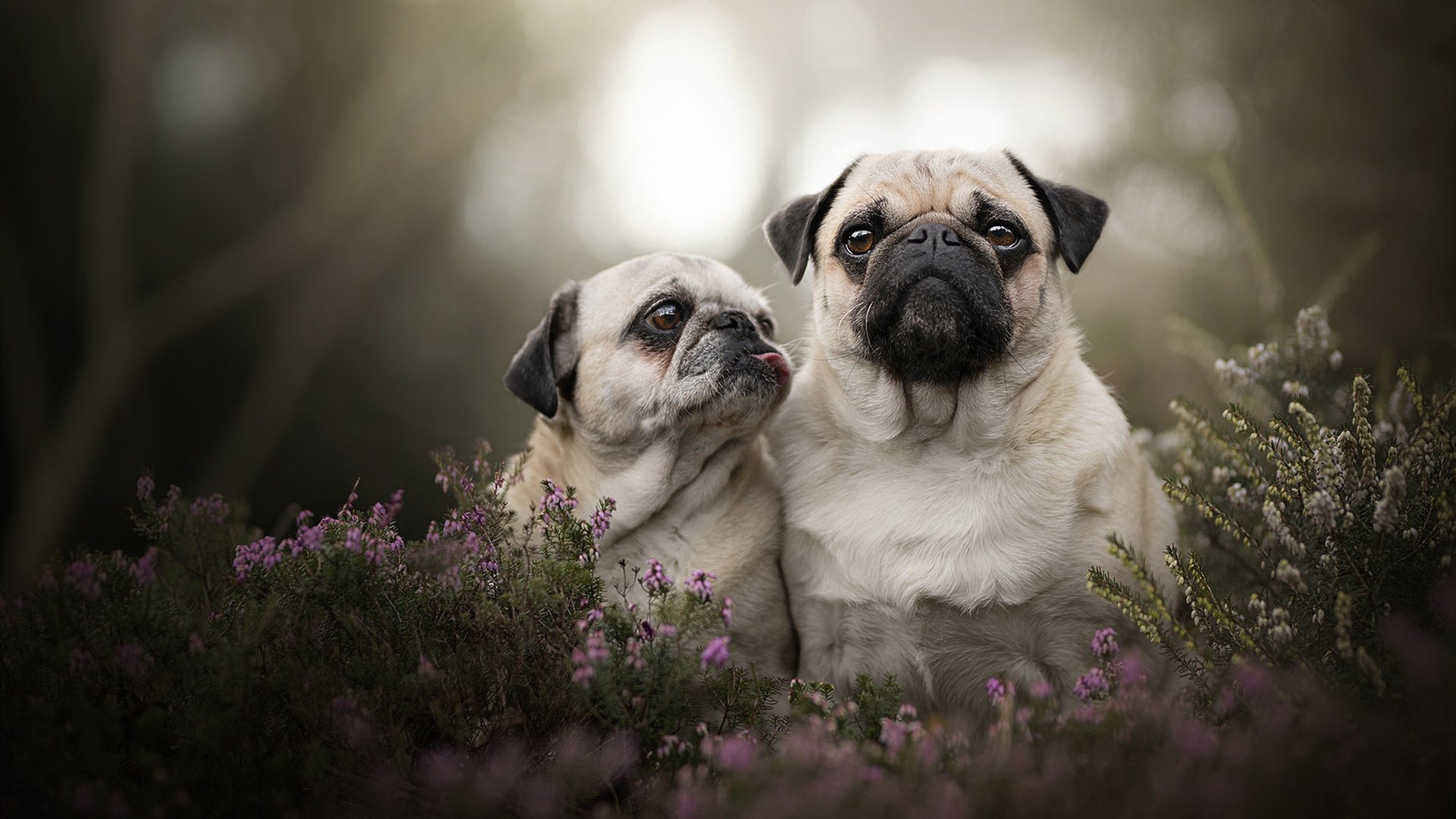 九游娱乐官网 (jiuyou)-未来智能足球场馆将实现全场物联网连接，提升管理智能化水平，智能球场管理系统